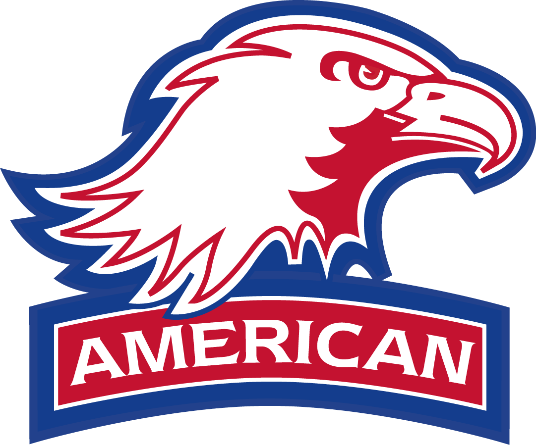 American Eagles 2010-Pres Secondary Logo v2 diy iron on heat transfer